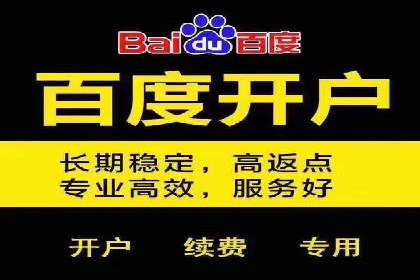 百度推广的移动端策略：某APP的快速增长之路